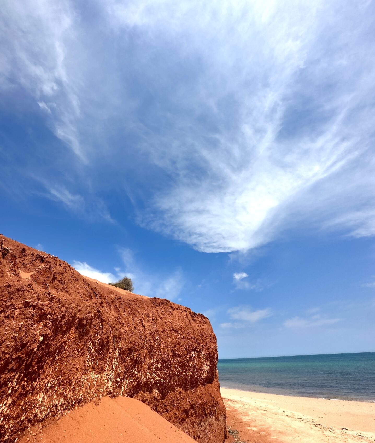 Shark Bay, Western Australia: The Complete Guide