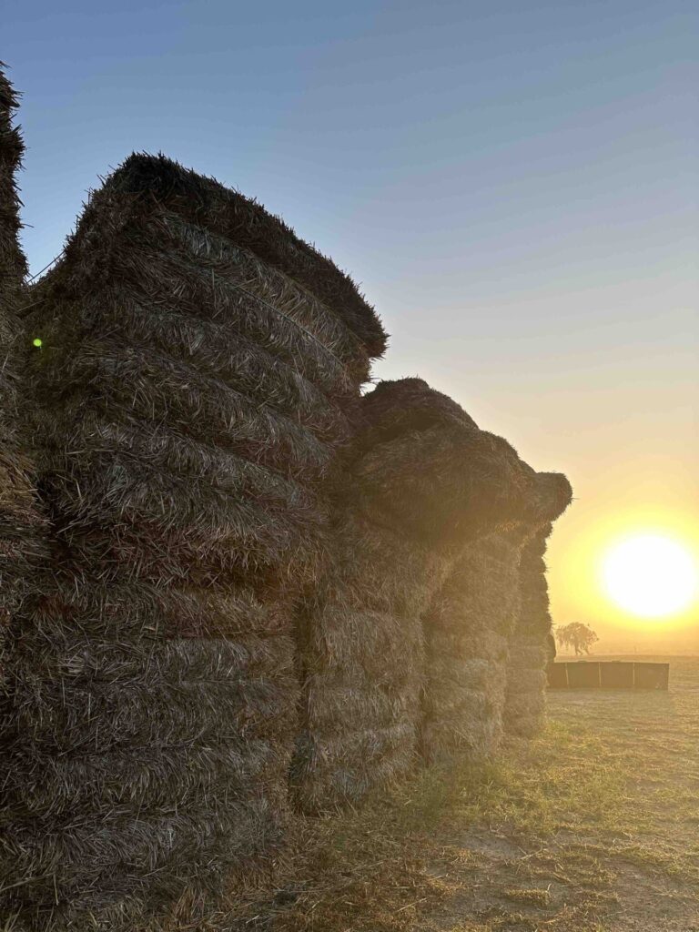 Nambung Station Stay, Pinnacles WA Western Australia, Best Station Stay