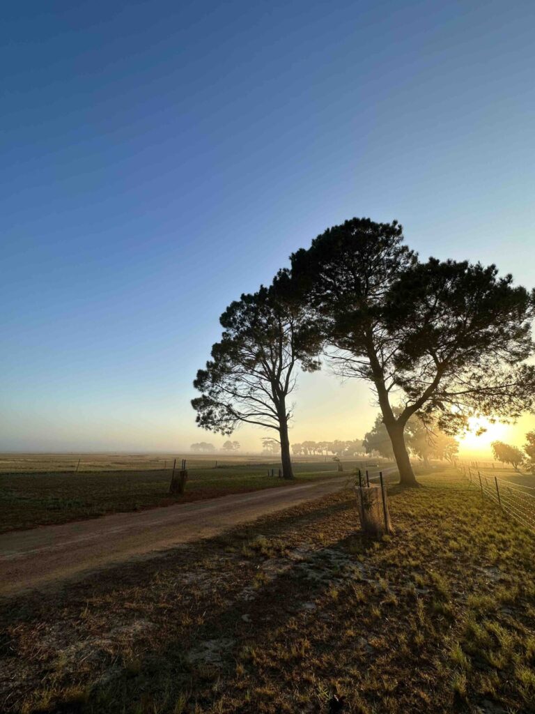 Nambung Station Stay, Pinnacles WA Western Australia, Best Station Stay