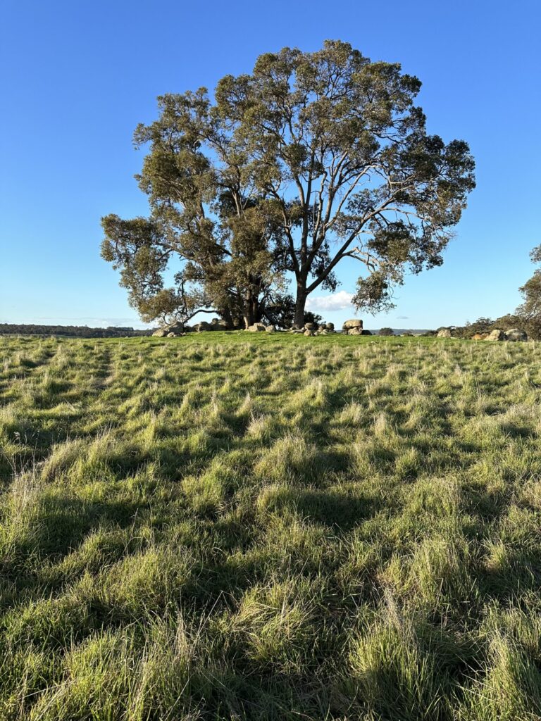 Travel, camping, Western Australia, off the beaten track, camp on private property WA