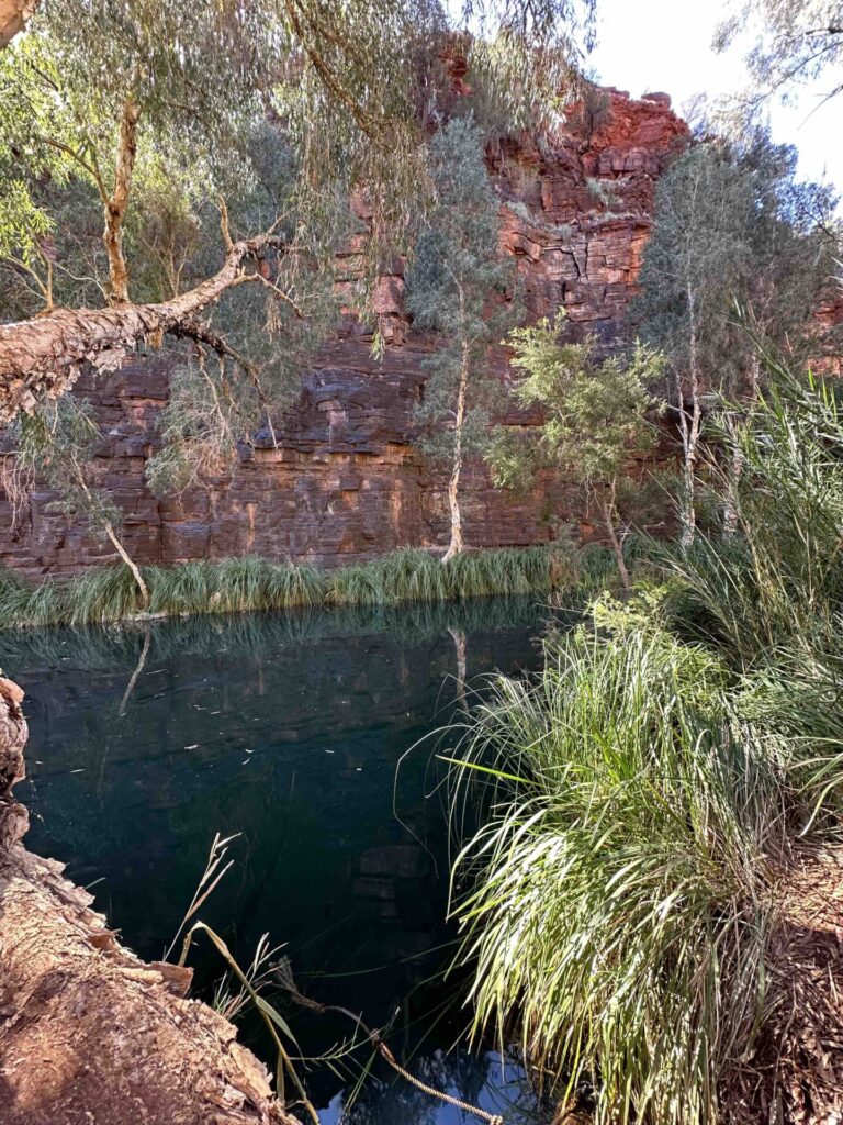 Dales Gorge Karijini, travel WA, best gorge in Karijini