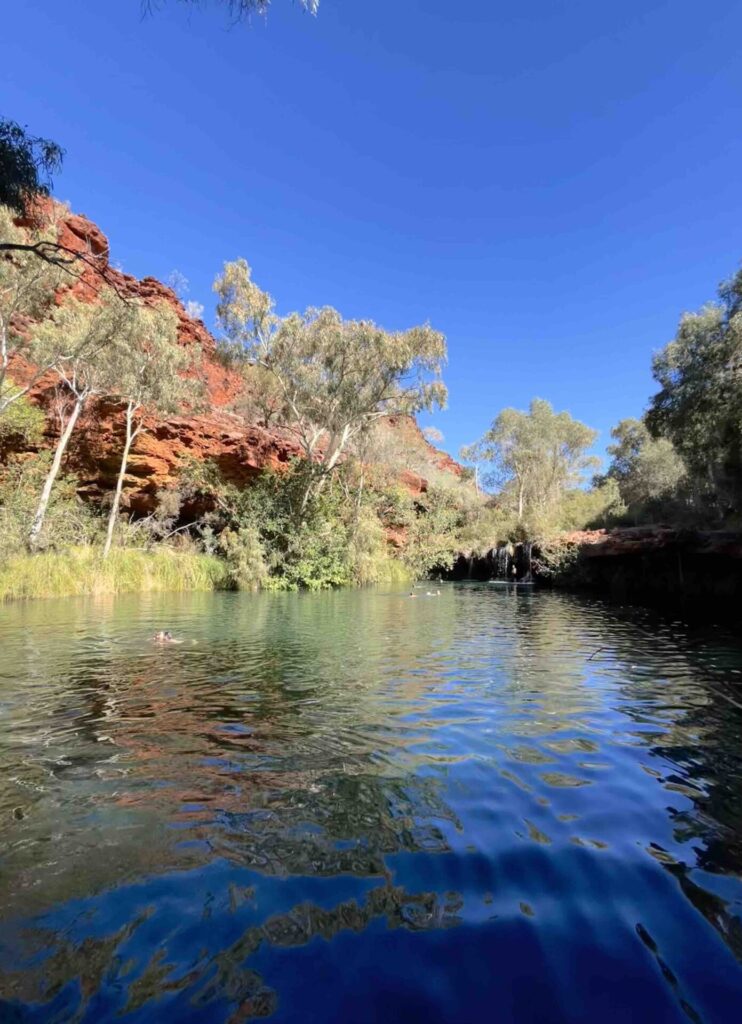 Fern Pool, Dales Gorge, Karijini National Park, best waterholes to swim in Karijini