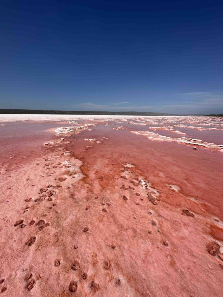 Pink Lake Hutt Lagoon Western australia things to do, places to see Kalbarri road trip