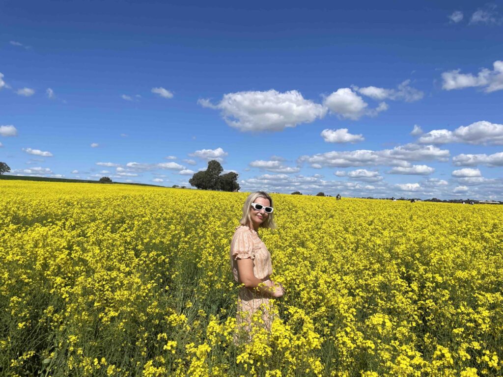 Canola fields in York, WA, Western Australia, where to walk through canola, travel WA, insta spots