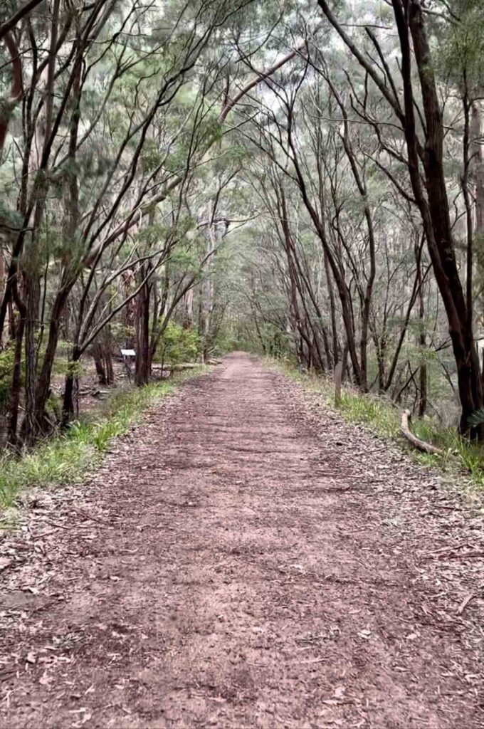 Margaret River Wadandi Track, things to do in Margaret River in winter on a budget, hikes and biking in Margaret River, rail trail Margaret River