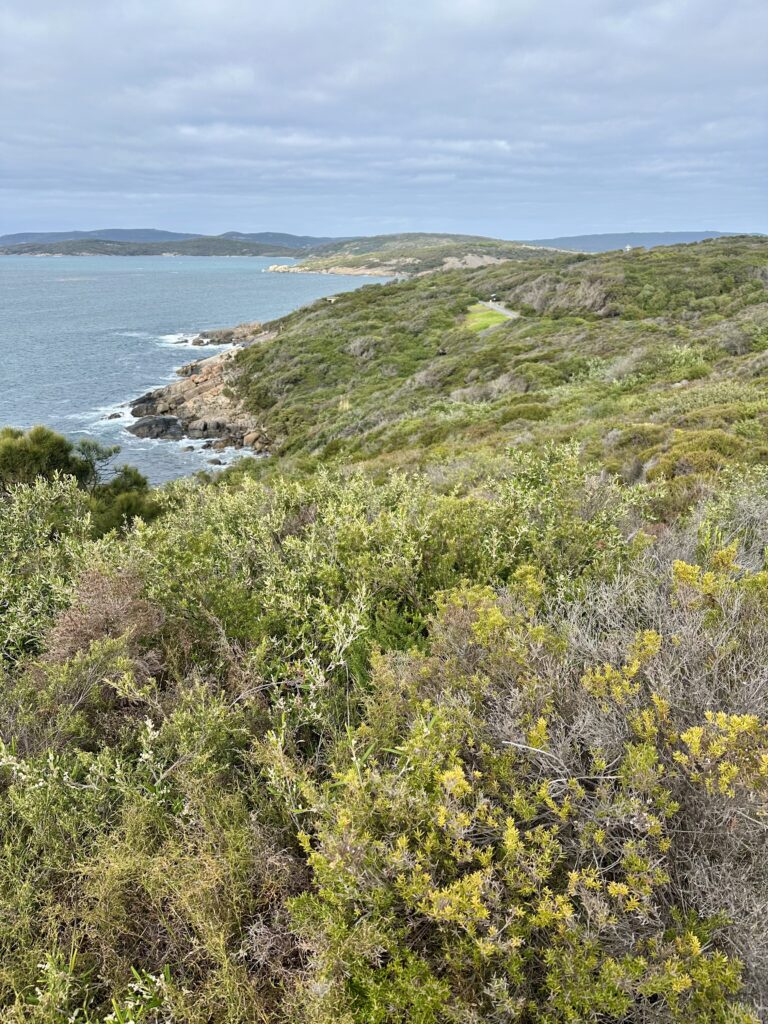 Ellen Cove Boardwalk Albany Western Australia Middleton Beach