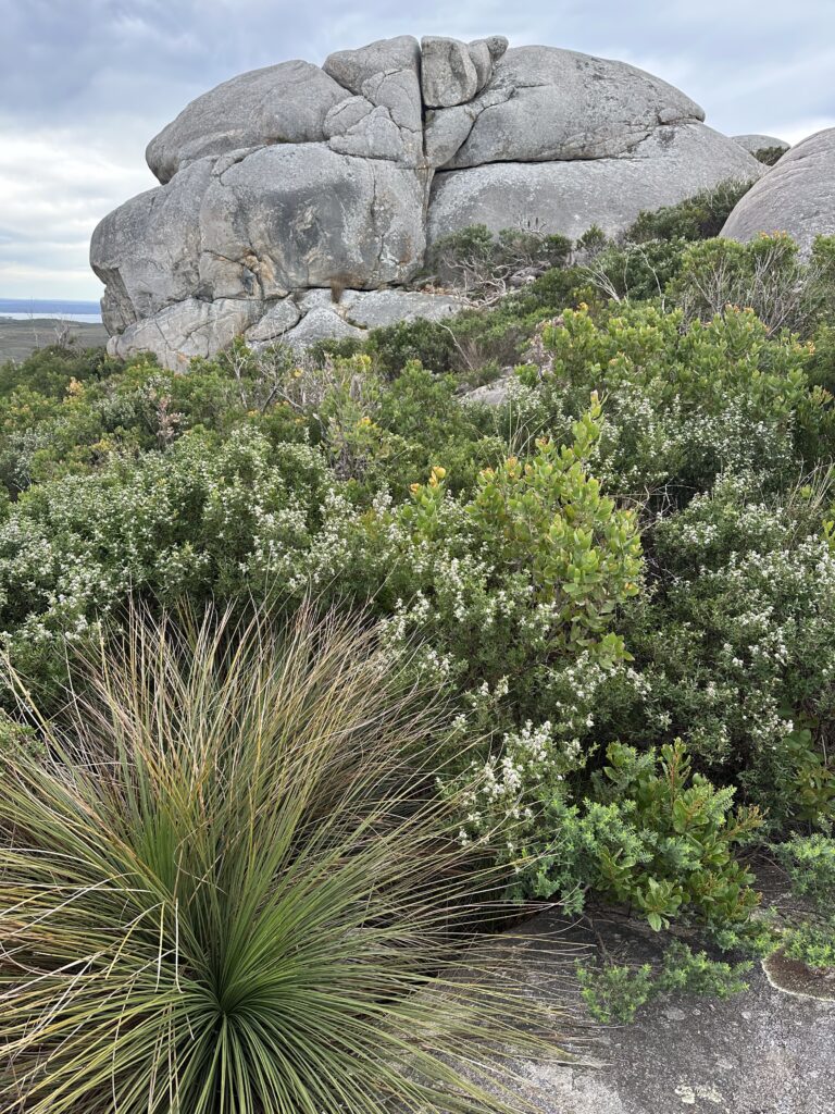 Stony Hill Albany Things to do and see in Albany Best things to do in Albany best walks in Albany