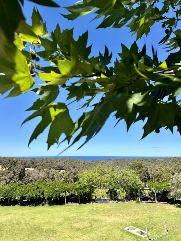 Best eateries in margaret river region, best places to eat, best restaurant Wise Winery Dunsborough, best winery with ocean views